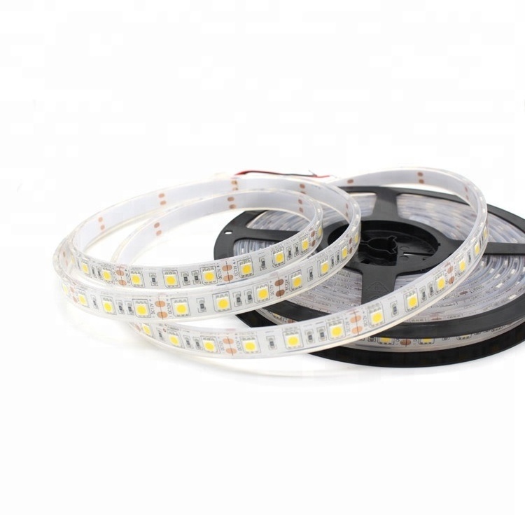 Swimming Pool Lights IP68 Underwater Dimmable LED Light Strip Waterproof With DC12V Or DC24V Input