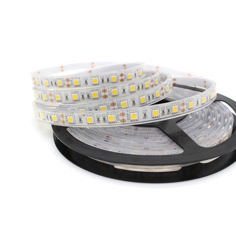 Swimming Pool Lights IP68 Underwater Dimmable LED Light Strip Waterproof With DC12V Or DC24V Input