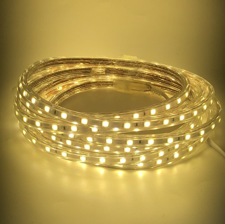 Flexible rope light 220v waterproof led strip light 50m With EU UK USA Plug