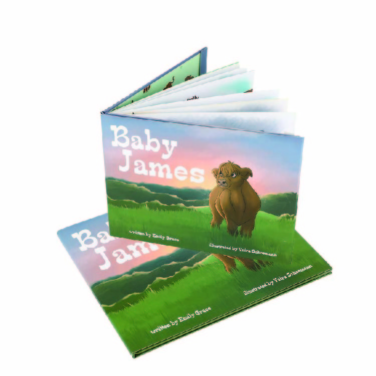 Custom Design Print On Demand Hardcover Children Books Printing