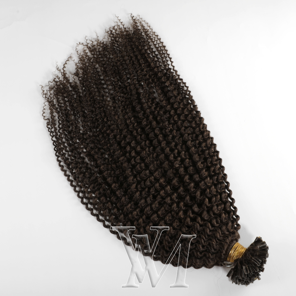 VMAE Prebonded Cuticle Aligned Virgin Human U Tip Hair Extensions Natural Color Afro Kinky Curly Mongolia 100g 4A 4B 4C 1 Piece