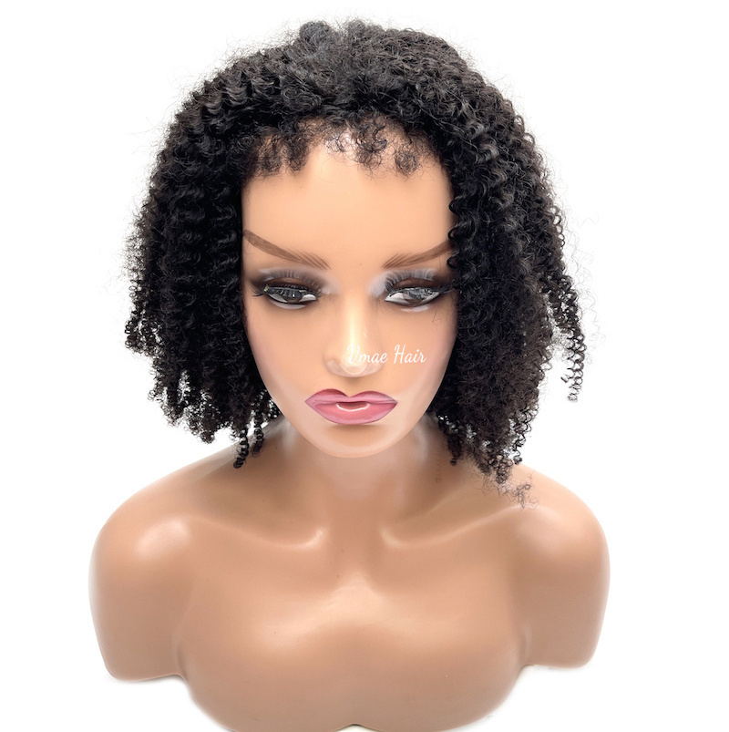 VMAE Virgin Cuticle Aligned Vietnamese Raw Remy Human Hair Wig Afro Kinky Curly Human Hair Wigs for Black Women