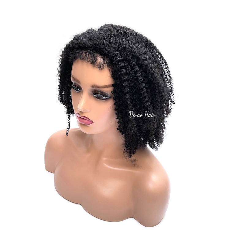 VMAE Virgin Cuticle Aligned Vietnamese Raw Remy Human Hair Wig Afro Kinky Curly Human Hair Wigs for Black Women