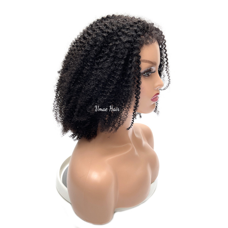 VMAE Virgin Cuticle Aligned Vietnamese Raw Remy Human Hair Wig Afro Kinky Curly Human Hair Wigs for Black Women