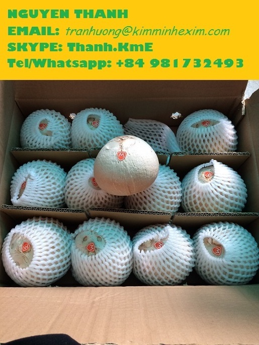 Young Coconut SHELL Tropical & Sub-tropical Fruit COMMON BEN TRE Fresh Coconut Premium Quality Semi-husked