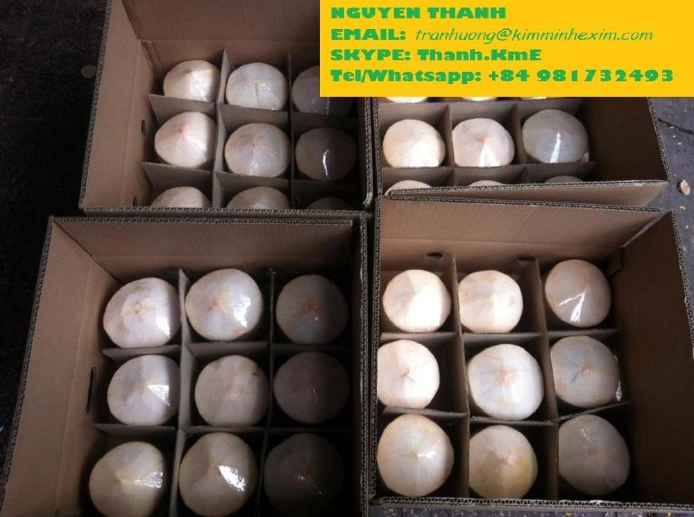 Young Coconut SHELL Tropical & Sub-tropical Fruit COMMON BEN TRE Fresh Coconut Premium Quality Semi-husked