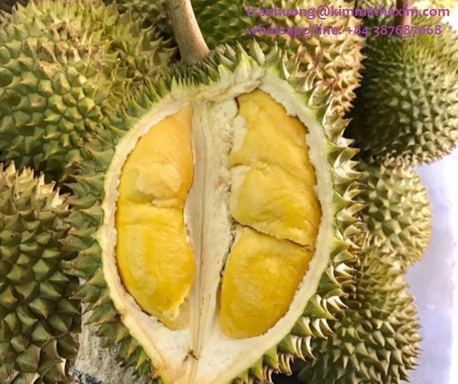 FRESH/ FROZEN DURIAN WITH HIGH QUALITY--HP 0084 917 476 477