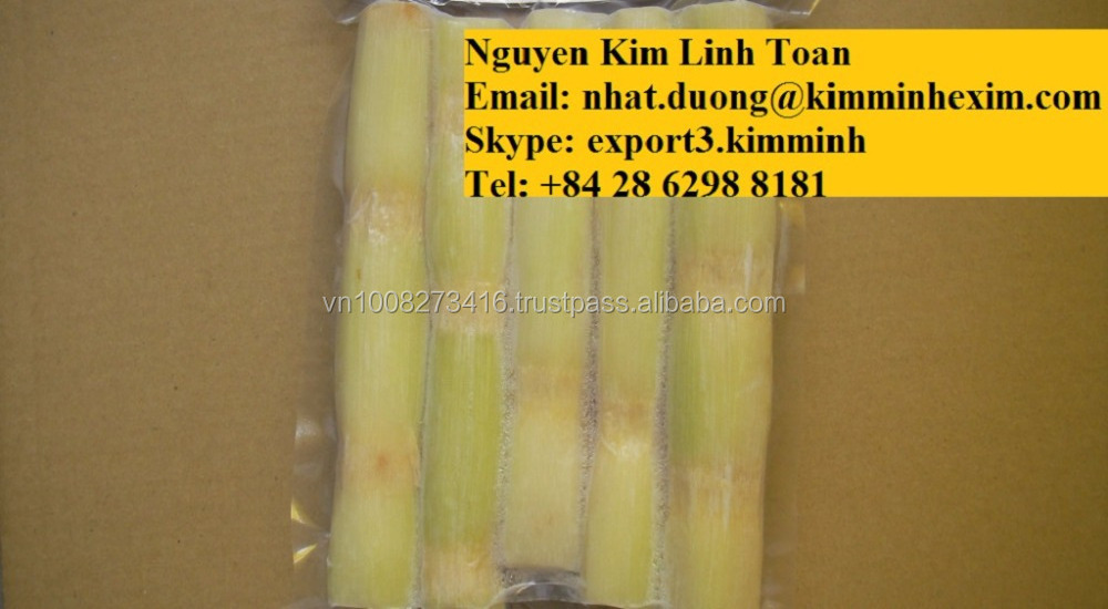 FROZEN SUGAR CANE WITH THE HIGH QUALITY FROM VIETNAM