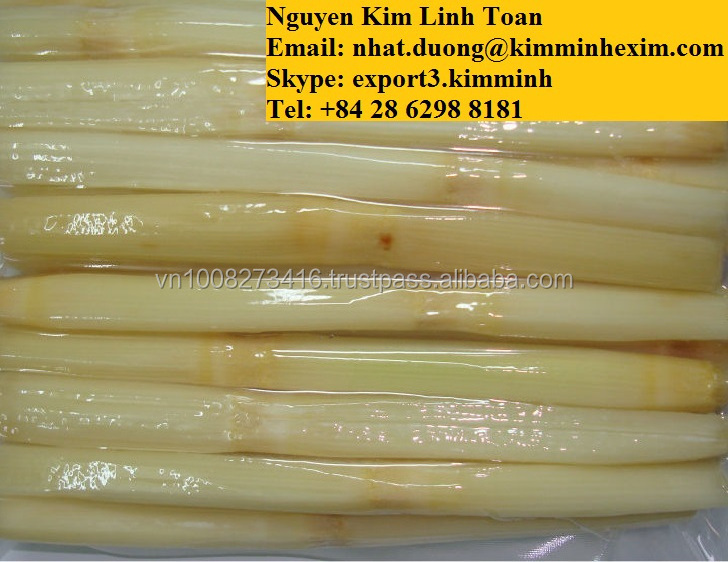 FROZEN SUGAR CANE WITH THE HIGH QUALITY FROM VIETNAM