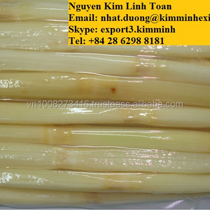 FROZEN SUGAR CANE WITH THE HIGH QUALITY FROM VIETNAM