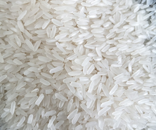 Best Quality Cheap Price Perfume Rice 5% Broken from Vietnam Reputation Rice Factory and Wholesale Exporter