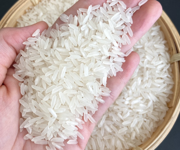 Best Quality Cheap Price Fragrant Rice Perfume Rice 5% Broken from Vietnam Reputation Rice Factory and Wholesale Exporter