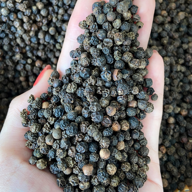 3.9$/kg vietnam black pepper free samples seasoning powder contact whatsapp Mr.Tony + 84 938 736 924 for the exportation from us