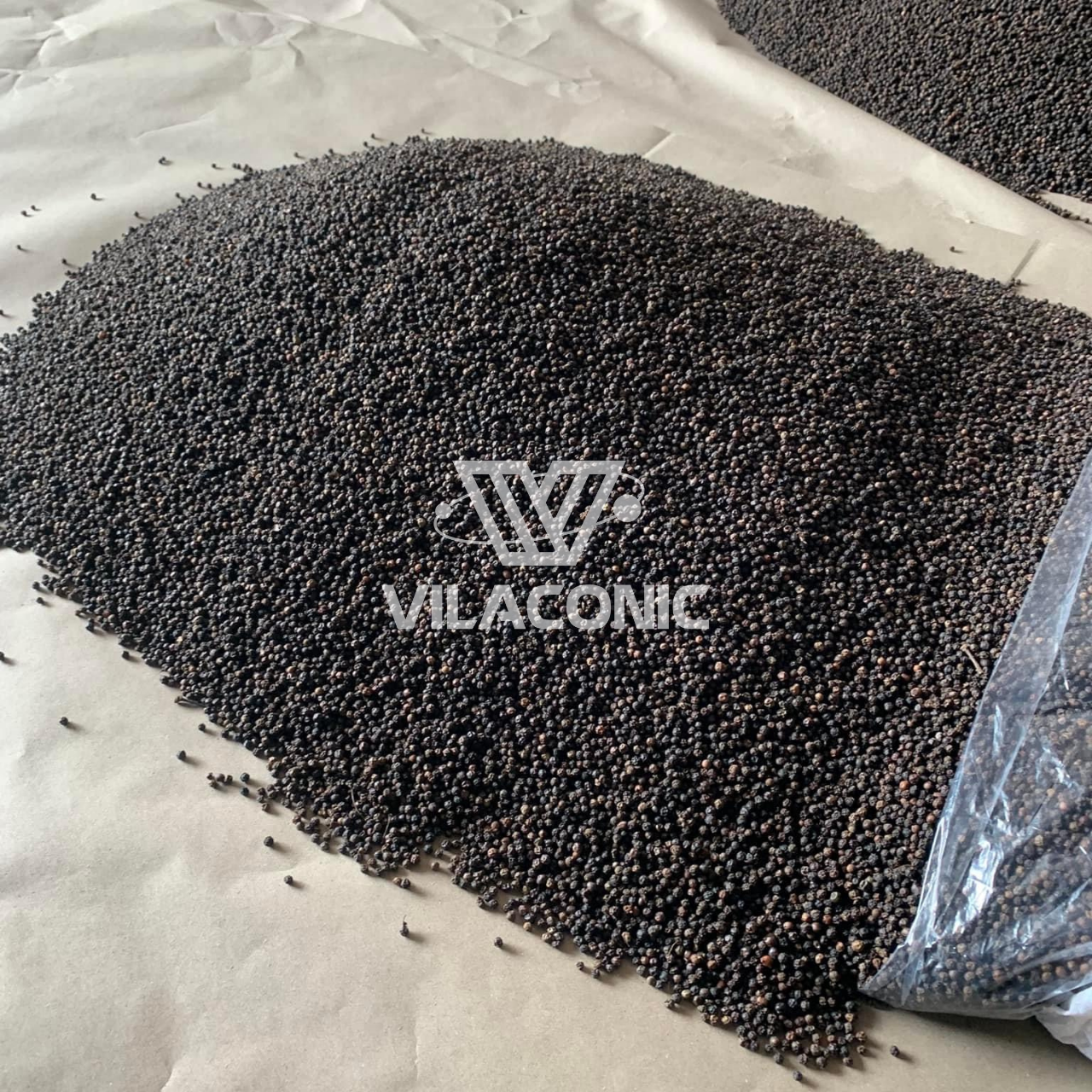 Wholesale High Quality Dried Black Pepper Hot Spicy Spices Vietnam Only For Import Export 2024