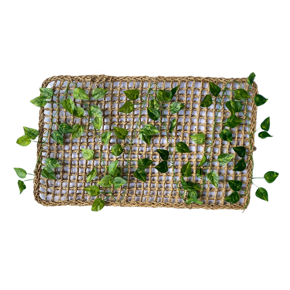 Bearded Dragon Hammock Jungle Climber Vines 25''x14'' Seagrass Woven for Chameleon, Lizards, Gecko, Snakes, iguana Reptiles