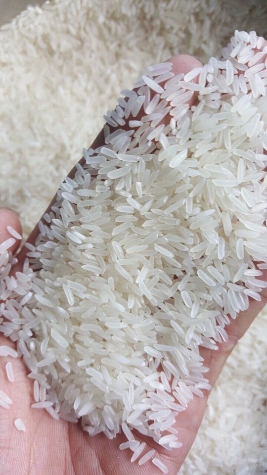 Vietnamese Jasmine Rice - High Quality Fragrant Rice - Strong Perfume Rice  (Whatsapp: +84-915355383)