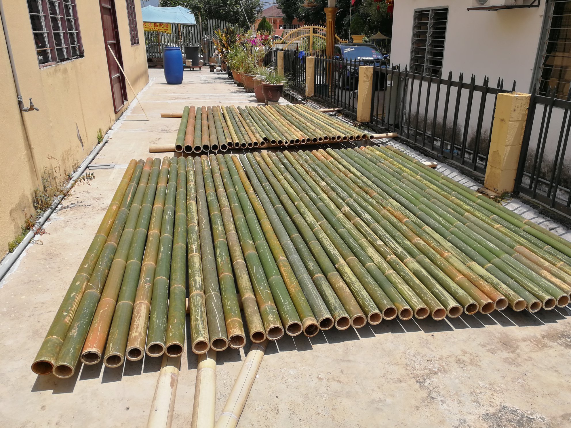 Wholesale bamboo pole 1- 8m customer's size cheap price on bulk - Natural Bamboo poles/stakes export worldwide low tax