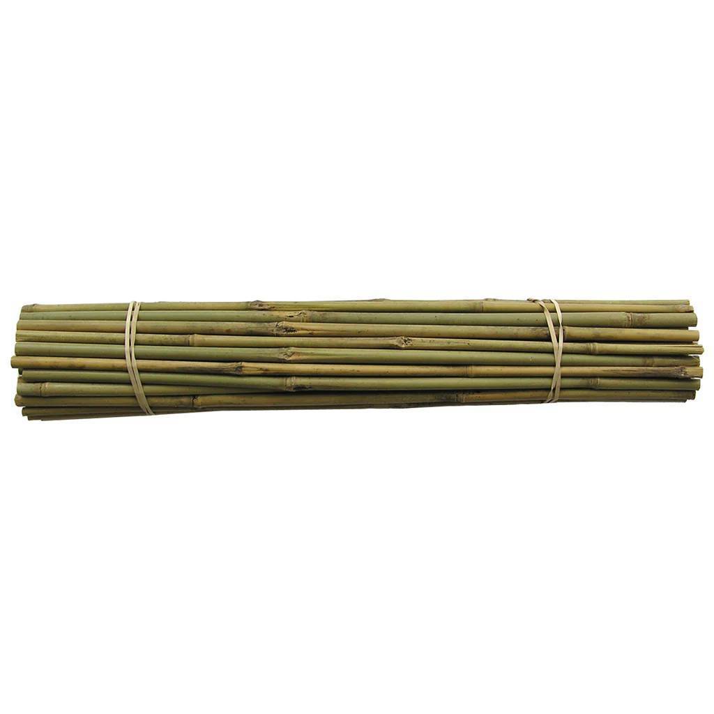 Wholesale Natural Rattan Poles- Best seller Bamboo pole / dry bamboo pole in bulk - Cheap price from Vietnamese bamboo forest