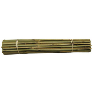 Wholesale Natural Rattan Poles- Best seller Bamboo pole / dry bamboo pole in bulk - Cheap price from Vietnamese bamboo forest