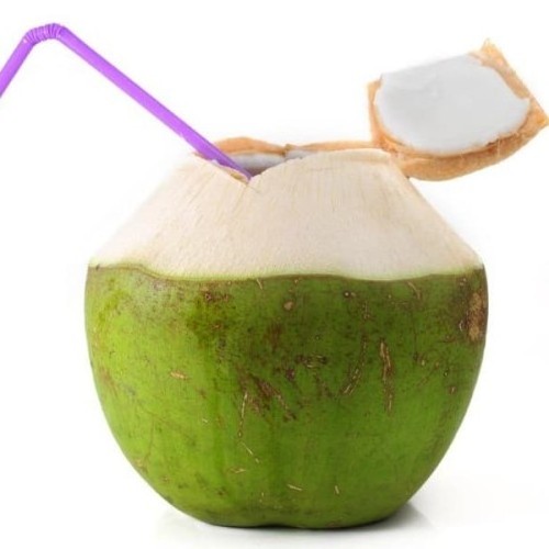 FRESH COCONUT FROM VIETNAM Wholesale Frozen Coconut Young Coconut Milk Top Grade Best Price To EU USA