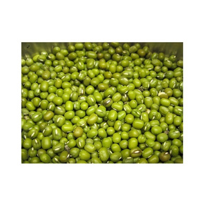 Fresh Mung Beans - Dried Mung Beans Export to EU, USA, Japan, UAE, etc - Canned Vigna Beans