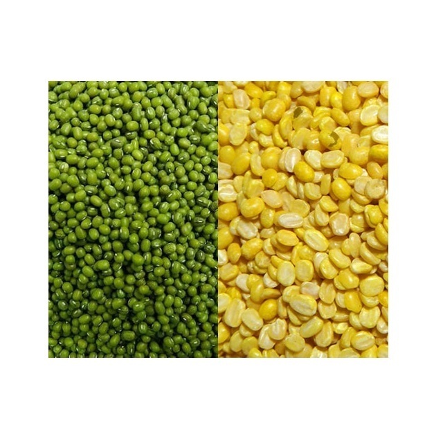 Fresh Mung Beans - Dried Mung Beans Export to EU, USA, Japan, UAE, etc - Canned Vigna Beans