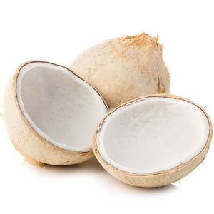 HOT SALE 2023 FRESH COCONUT_FROZEN SIAMESE COCONUT FROM VIETNAM