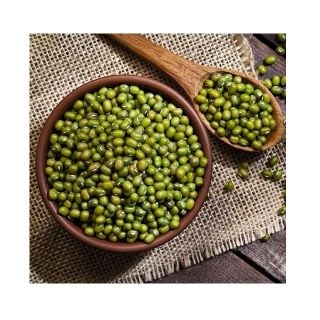 Fresh Mung Beans - Dried Mung Beans Export to EU, USA, Japan, UAE, etc - Canned Vigna Beans