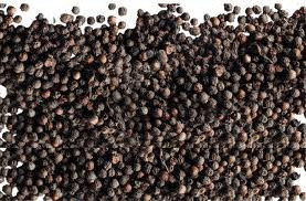 HIGH QUALITY BLACK PEPPER  AT RIGHT PRICE - Dried Black Pepper from Vietnam - Black Pepper at Competitive Price