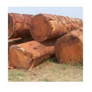 African/ Gabon Doussie timber wood logs - raw material high quality LOW TAX - pachyloba, doussie, tali, okan wood