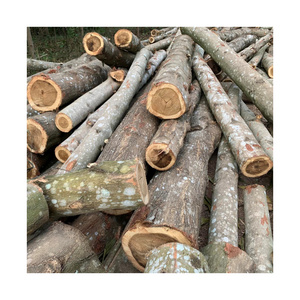 2023 100% natural Solid Acacia wood logs for making pallet and furniture High Quality Low Tax for sale Cheap Price