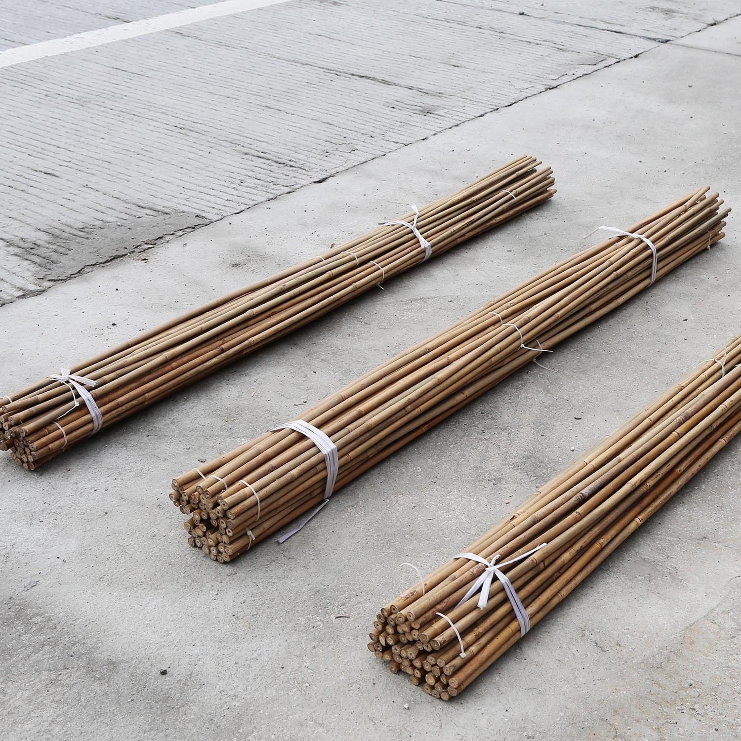 Best Selling Wholesale Straight Bamboo Cane Stake Bamboo Pole At factory price Strong Bamboo Poles From Vietnam Free Tax