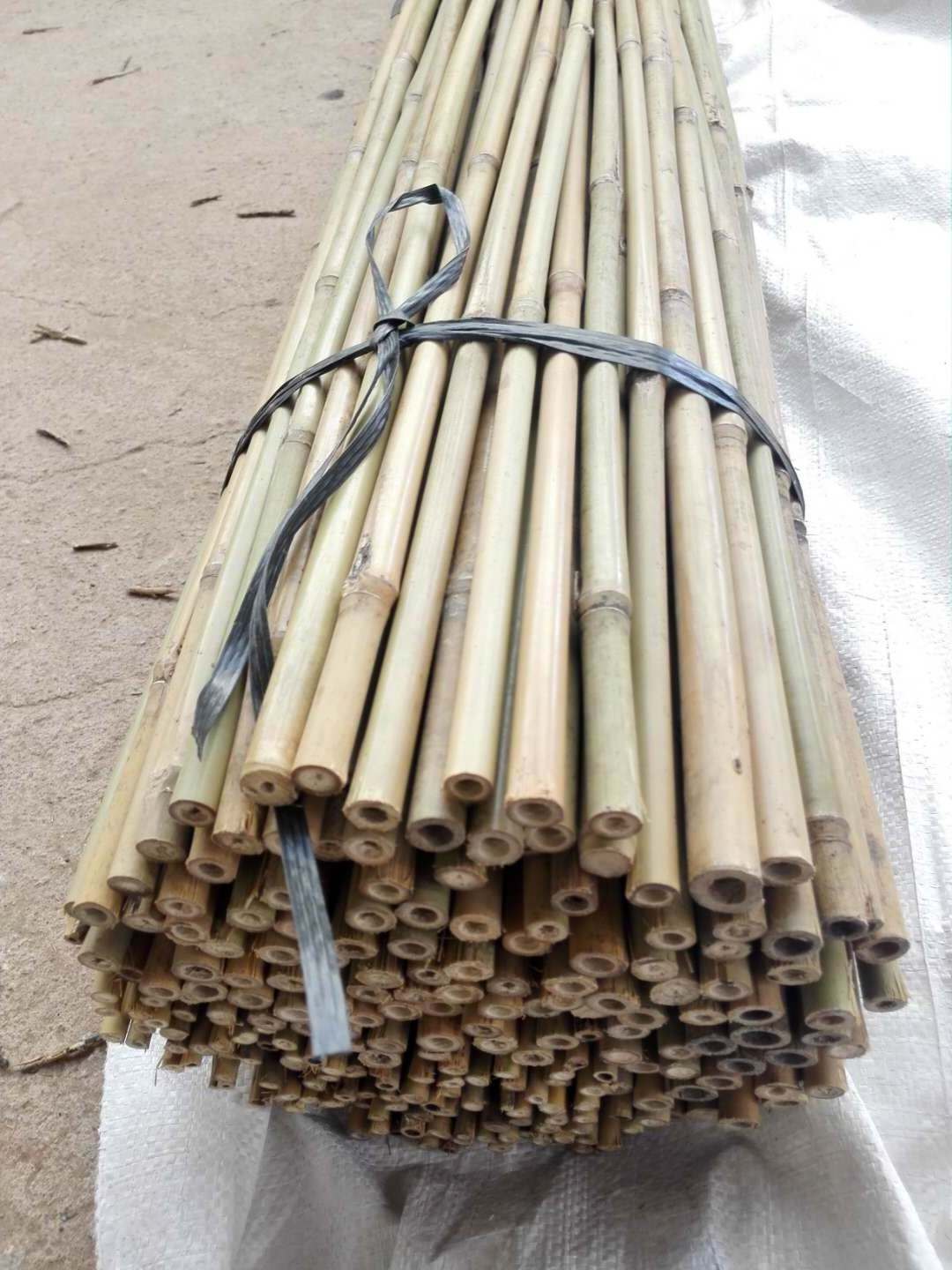 Vietnamese bamboo poles wholesale price! Raw Bamboo Poles for Gardening and Decoration! Bamboo Pole 100% Natural