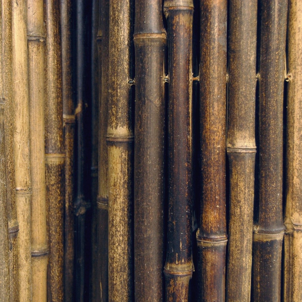 100% Natural Bamboo Vietnam Caramel Brown Rolled Bamboo Fence