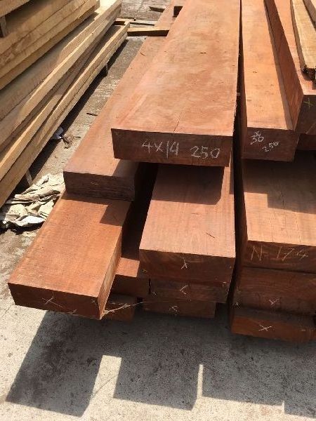 African/ Gabon Doussie timber wood logs - raw material high quality LOW TAX - pachyloba, doussie, tali, okan wood