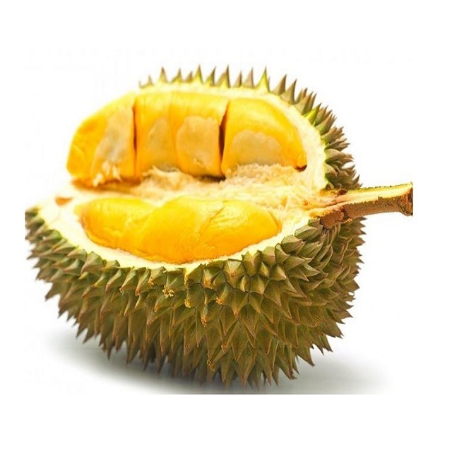 High quality durian from Vietnam - Wholesale for durian powder, frozen durian, durian fresh and dried durian export to EU, USA