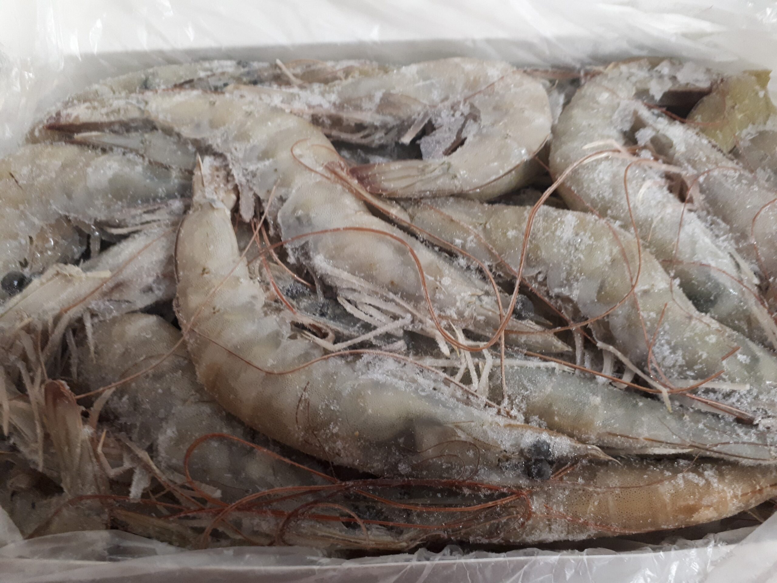 frozen vannamei shrimp wholesale and seafood -Black Tiger Shrimp-  frozen prawns export to USA, EU market