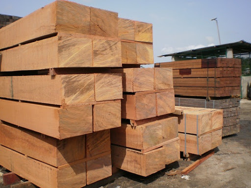 African/ Gabon Doussie timber wood logs - raw material high quality LOW TAX - pachyloba, doussie, tali, okan wood