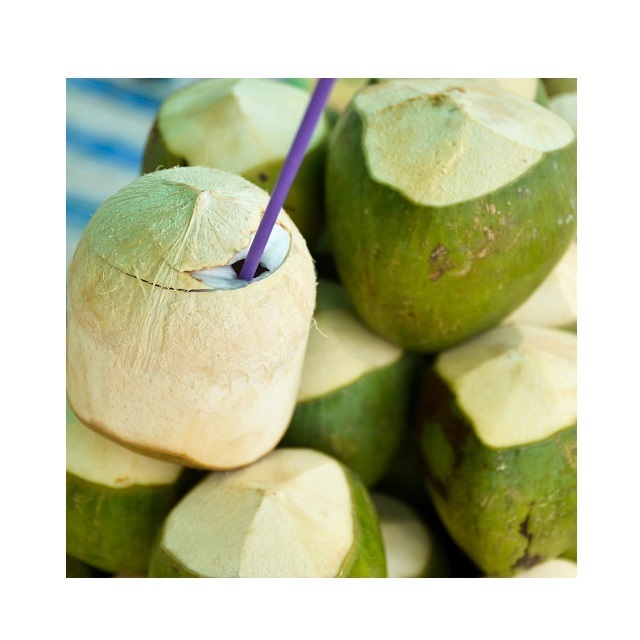 VIetnam coconut export worldwide -  Free Tax - Fresh young coconut with Full Husked - Green coconut at cheap price