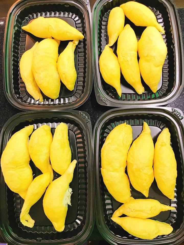 High quality durian from Vietnam - Wholesale for durian powder, frozen durian, durian fresh and dried durian export to EU, USA