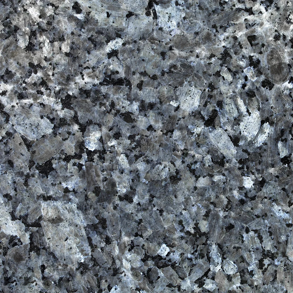 Light Grey Granite G603 Granite Slab / Block / Stone Wholesale Good Price From Vietnam Export Low Tax