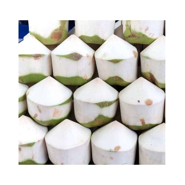 FRESH COCONUT FROM VIETNAM Wholesale Frozen Coconut Young Coconut Milk Top Grade Best Price To EU USA