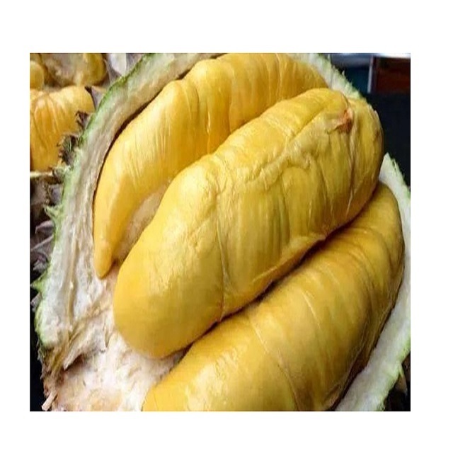 High quality frozen durian/durian puree export to EU, USA Hot Selling Vietnam fresh king durian fruit for sale