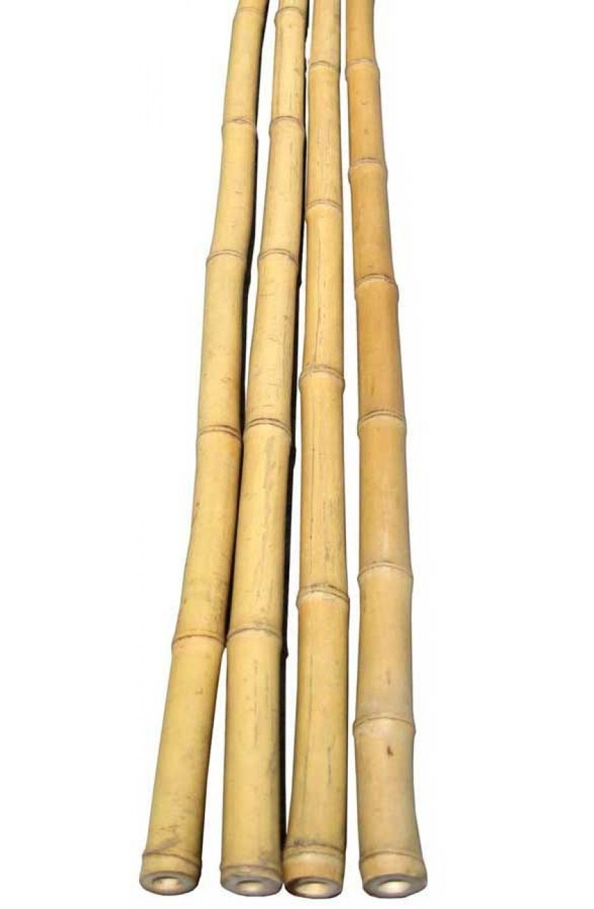 Wholesale Natural Rattan Poles- Best seller Bamboo pole / dry bamboo pole in bulk - Cheap price from Vietnamese bamboo forest