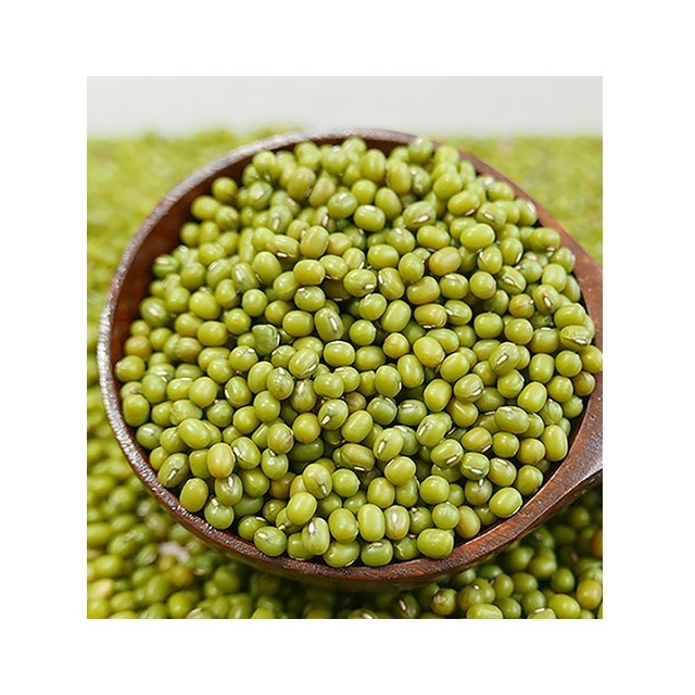 Fresh Mung Beans - Dried Mung Beans Export to EU, USA, Japan, UAE, etc - Canned Vigna Beans