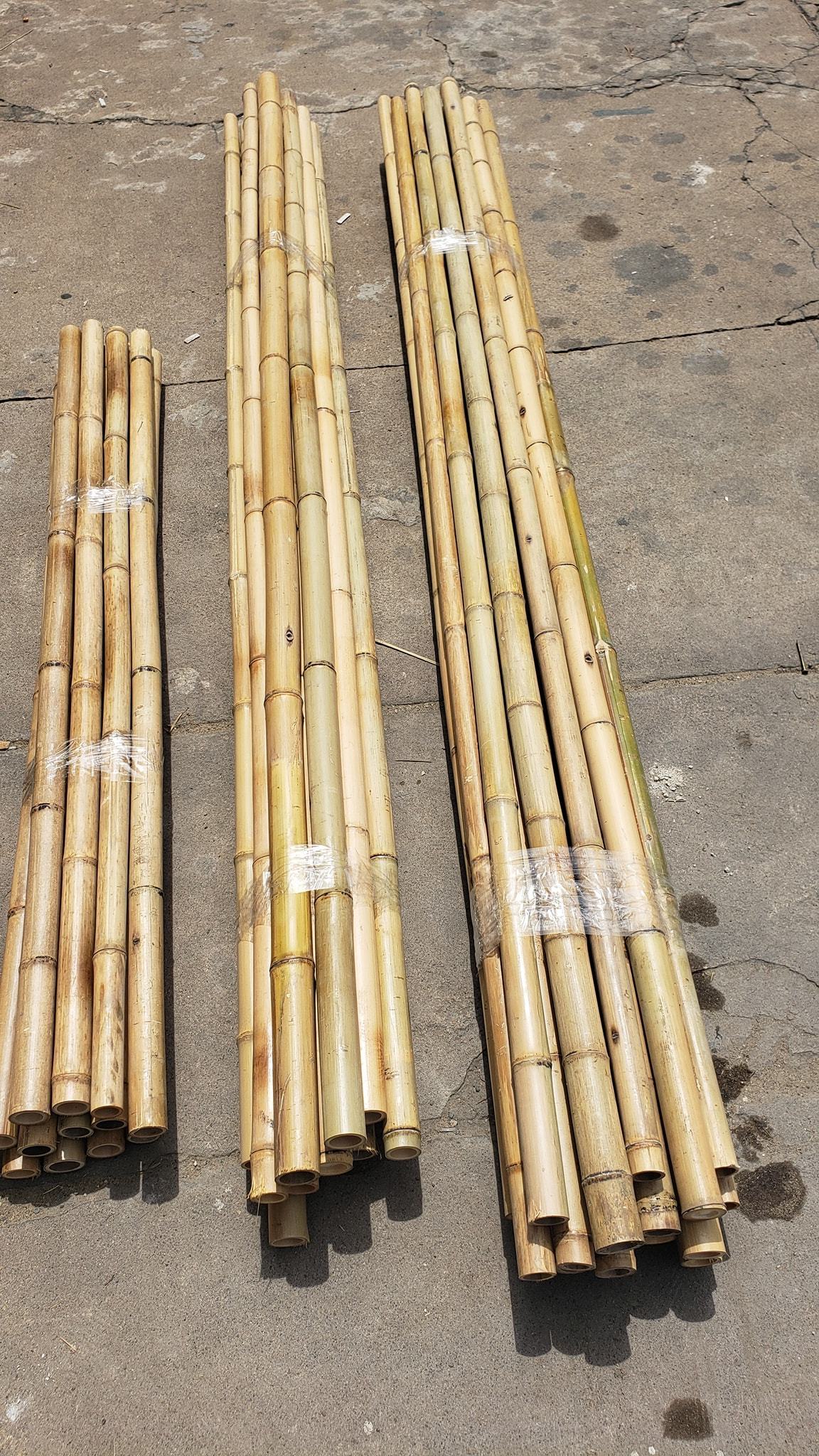 Vietnamese bamboo poles wholesale price! Raw Bamboo Poles for Gardening and Decoration! Bamboo Pole 100% Natural