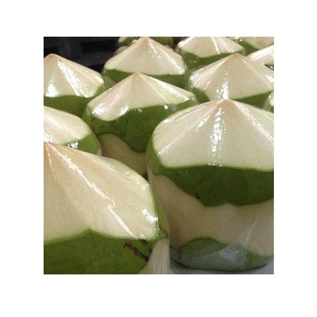 FRESH COCONUT FROM VIETNAM Wholesale Frozen Coconut Young Coconut Milk Top Grade Best Price To EU USA