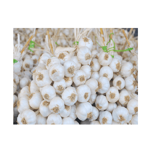 FREE TAX - BIG SALE Vietnam white fresh garlic  - Wholesale for peeled garlic / solo garlic export to China, EU, USA, Korea