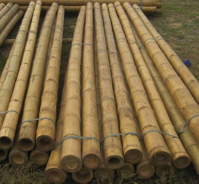 Wholesale bamboo pole 1- 8m customer's size cheap price on bulk - Natural Bamboo poles/stakes export worldwide low tax