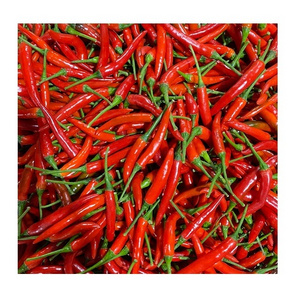 Hot Fresh/ Frozen Chili Vietnam - Red Spicy Fresh Chili - High quality chili at wholesale price and free tax